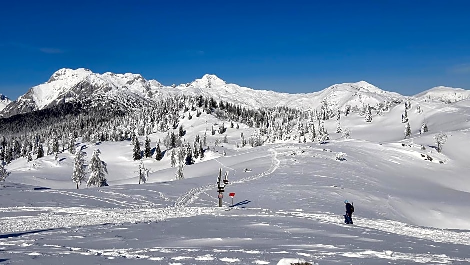 Chalet Kanja Velika Planina