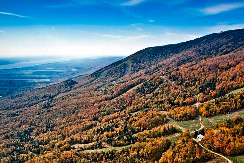 Initial / Solden / MSA