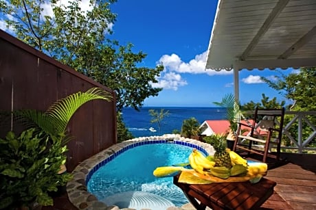 Ocean View Cottage with private plunge Pool
