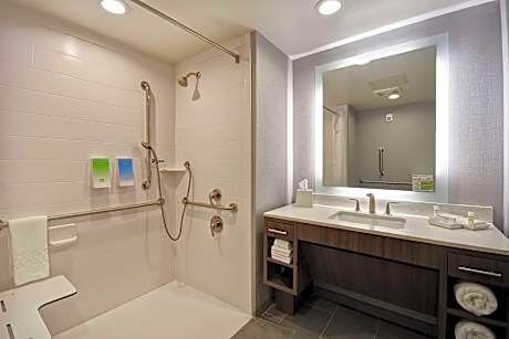 2Queen Accessible Roll In Shower Studio Nosmk