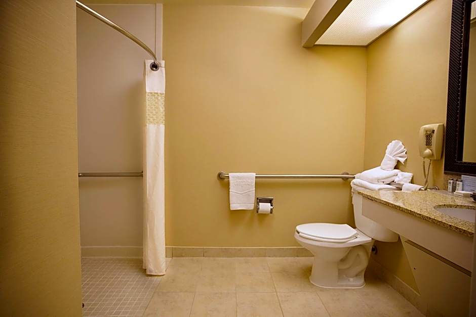 Hampton Inn By Hilton Atlanta/Newnan