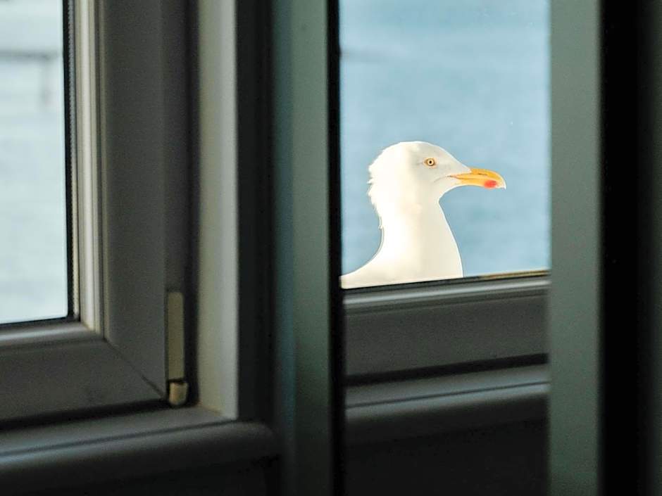 Hotel Mercure Roscoff Bord De Mer
