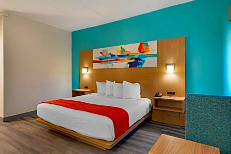King Room with Bath Tub - Mobility Accessible/Non-Smoking