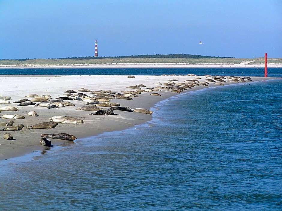 Sier aan Zee