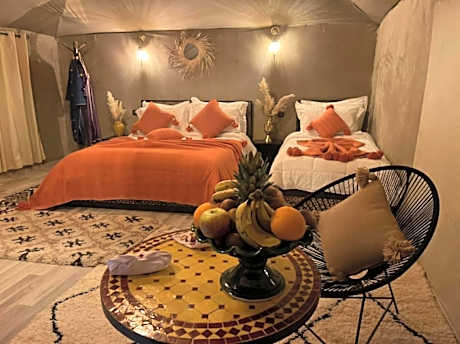 Stargazer's Haven camp