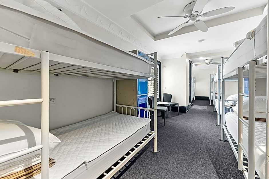 London Plane Backpackers