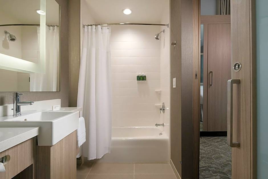 SpringHill Suites by Marriott Texas City