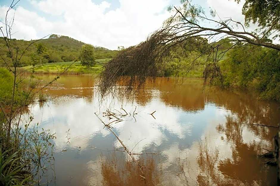 Casa de Campo Tamanduá - Conexão com a Natureza!