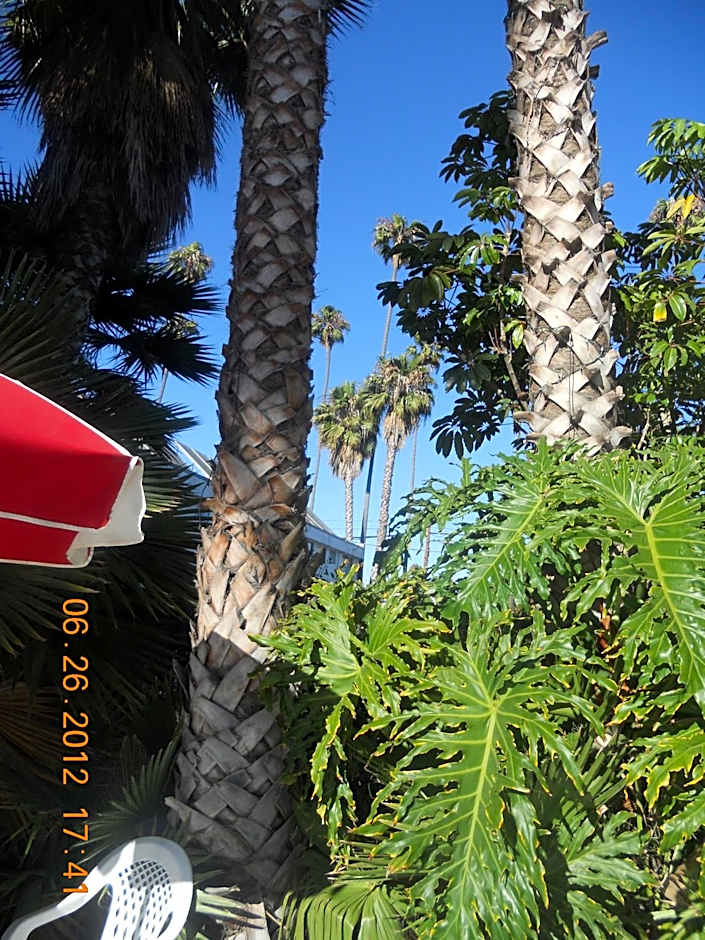 Tradewinds Airport Hotel