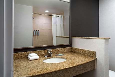 Room, 1 King Bed with Sofa bed (Mobility/Hearing Access, Transf Shwr)