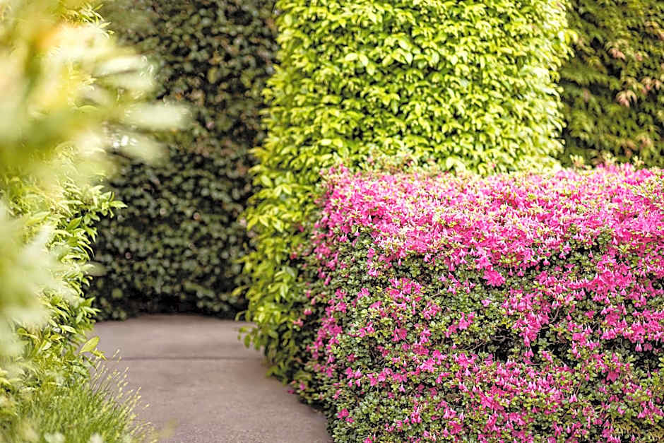 Garden Residence