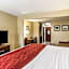 Comfort Inn & Suites Greenwood near University