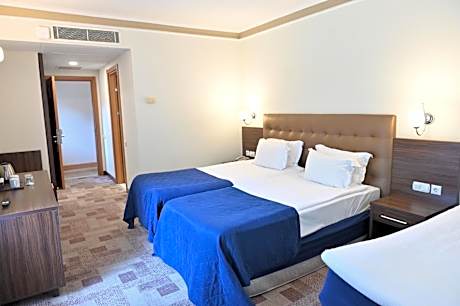 Double or Twin Room with Extra Bed
