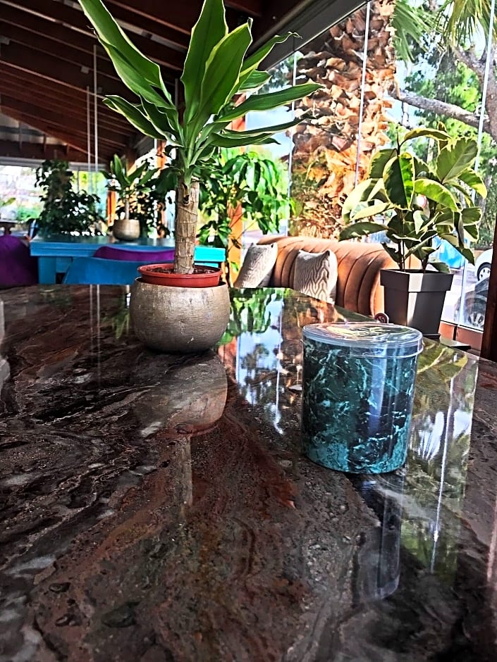 Maison 66 Riviera Hotels