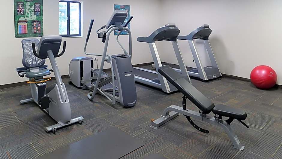 Hotel South Tampa & Suites