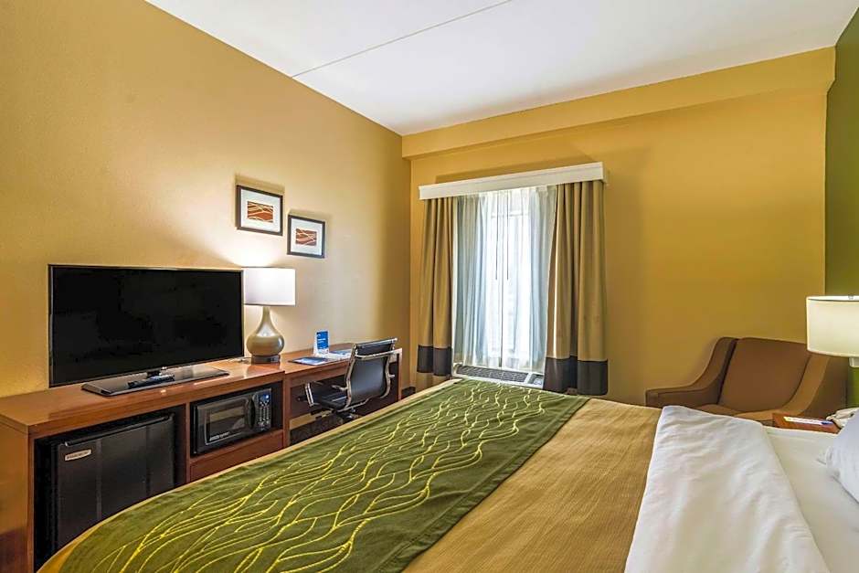 Comfort Inn & Suites Panama City North
