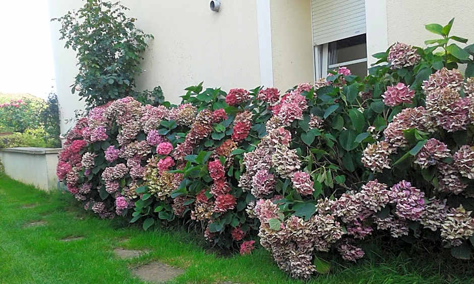 Chambres d'Hôtes Le Clos Du Verger