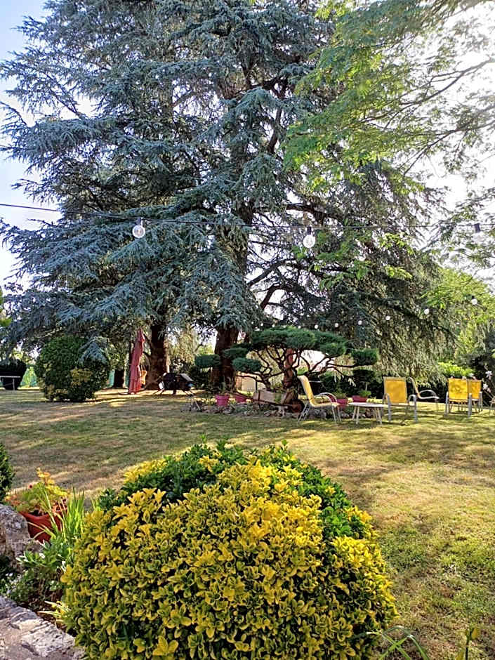 L'Orangerie