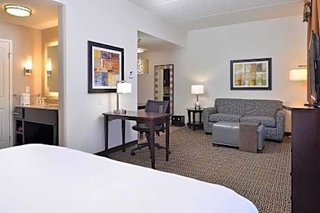 1 King Mobilty/Hearing Access Tub Studio Nosmk