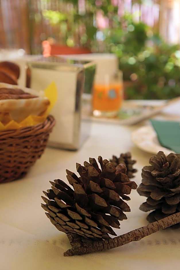 Santa Caterina da Siena B&B