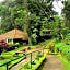 The Tall Trees Munnar