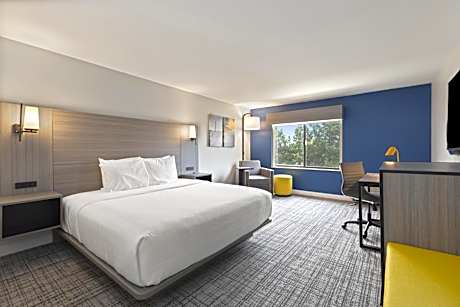 1 King Bed Non-Smoking Microwave And Mini-Refrigerator Full Breakfast