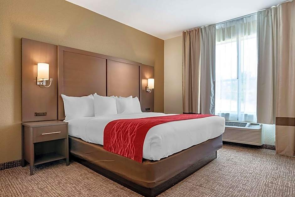 Comfort Inn & Suites Millbrook - Pratville