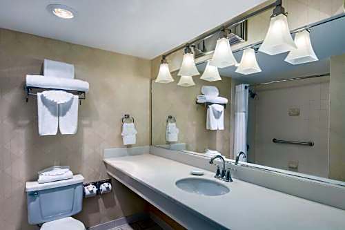 Wyndham Garden Dallas North