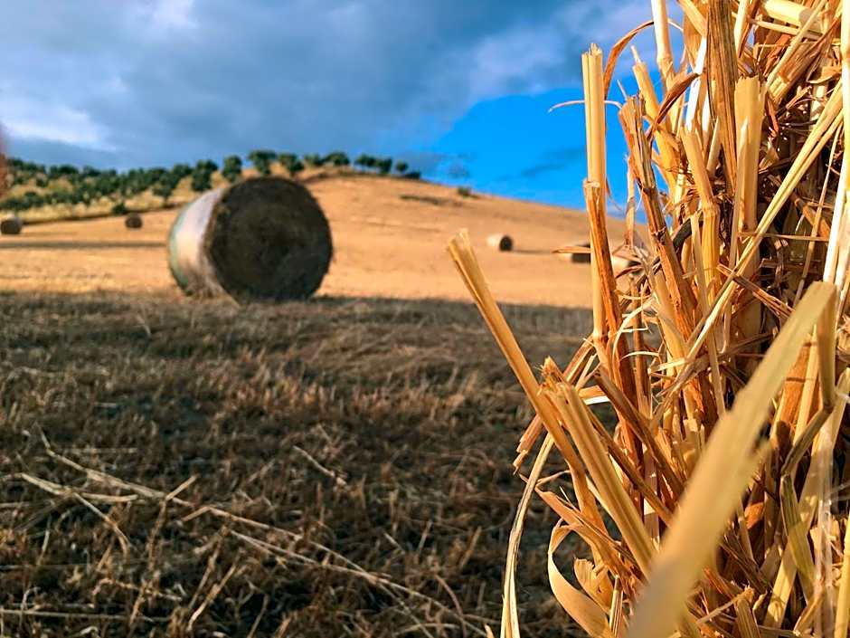Don Giacchì Country House