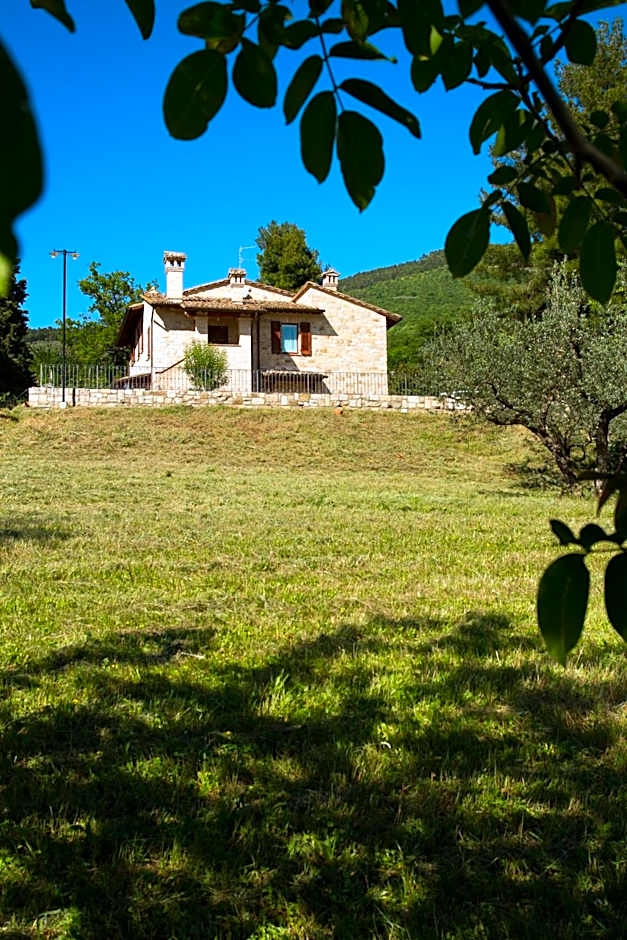 Villa Degli Ulivi