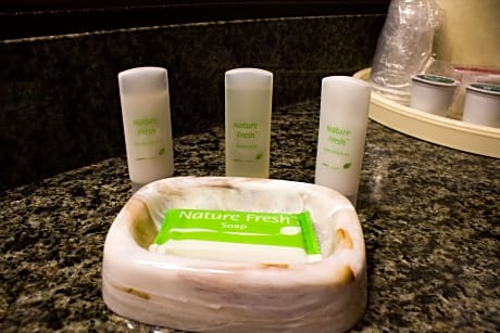 Accessible - 1 King, Mobility Accessible, Roll In Shower, Microwave And Refrigerator, Non-Smoking, F