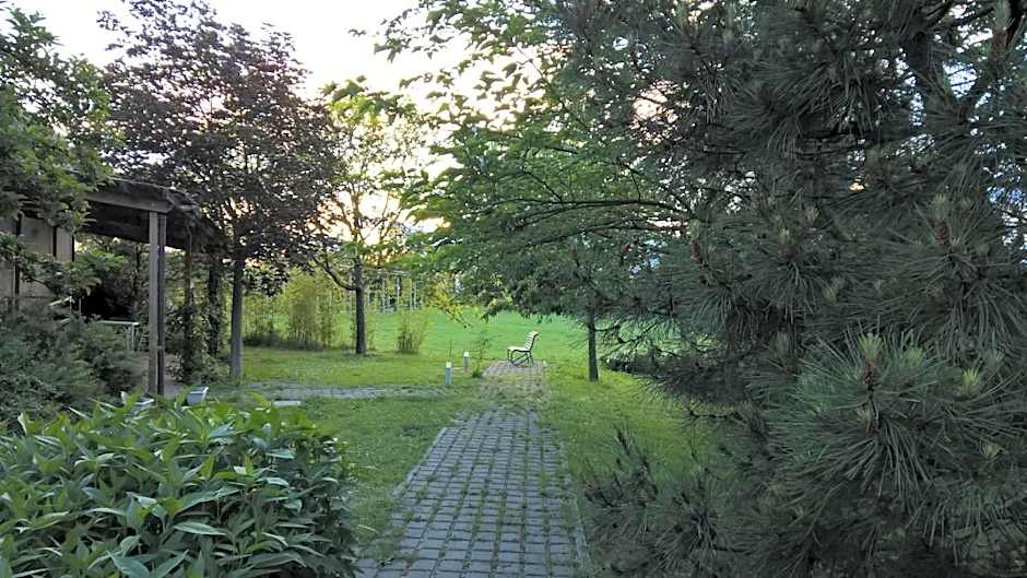 Rose Canine B&B