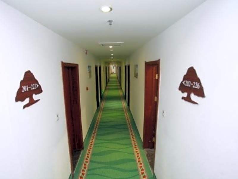 Greentree Inn Shandong Jinan Tianqiao District Railway Station Square Express Hotel – Jinan, WV