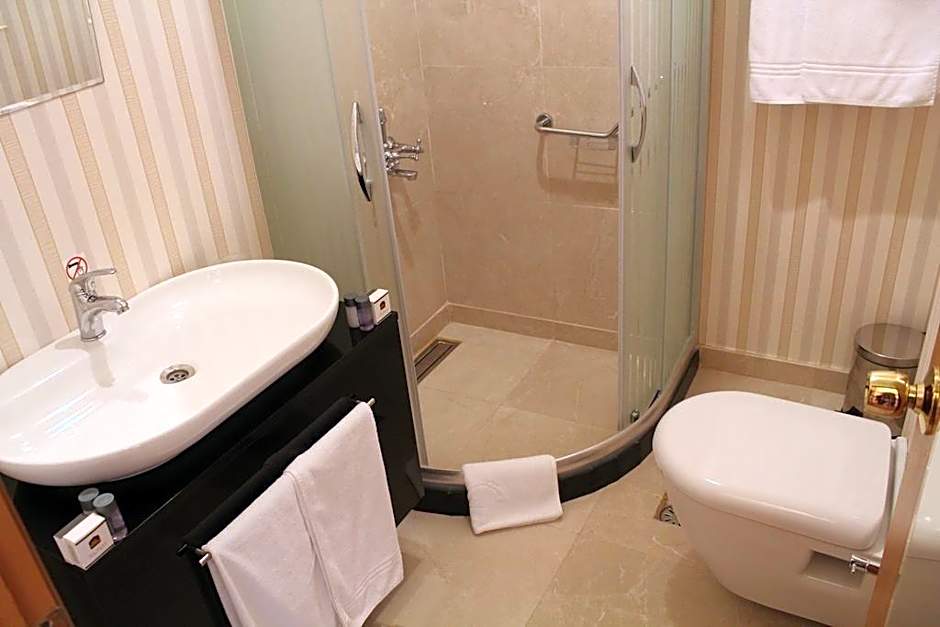 Bakirkoy Tashan Business & Airport Hotel