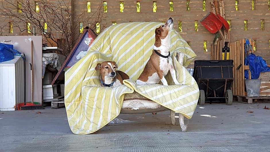 Affittacamere Villa Molinello