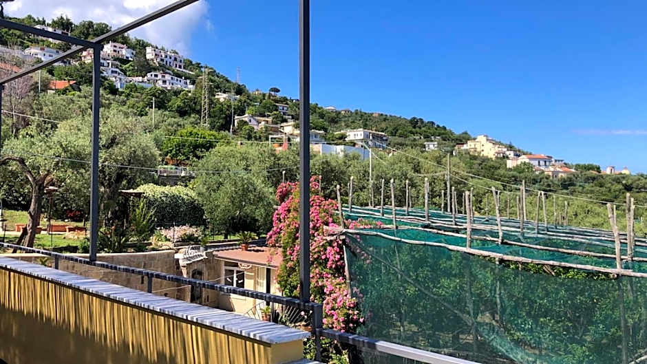 Oasi Madre della Pace