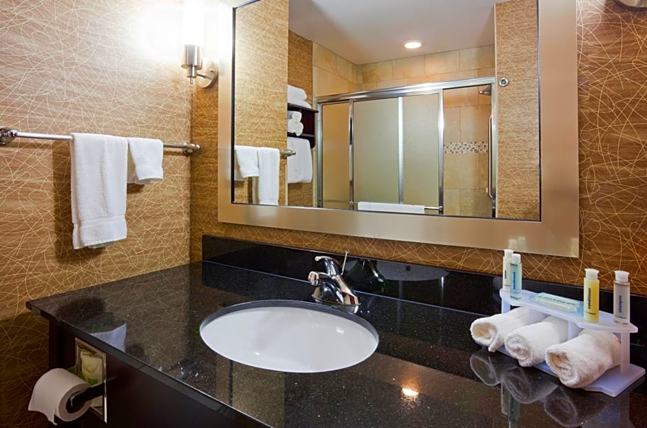 Holiday Inn Express and Suites Rochester West-Medical Center By IHG