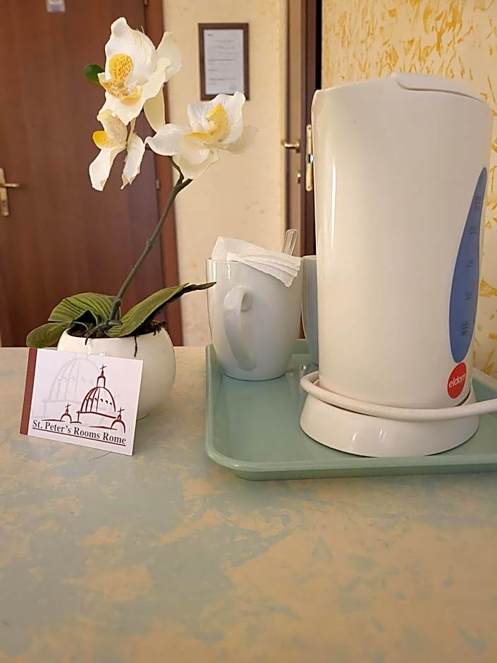 St. Peter's Rooms Rome