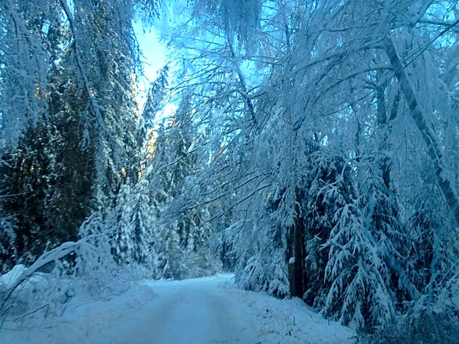 Chata u Gregora v Slovenskom raji