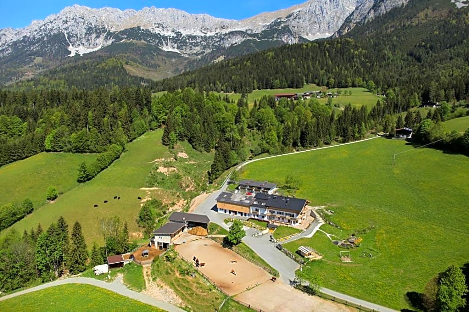 Bauernhof Haflingertränke