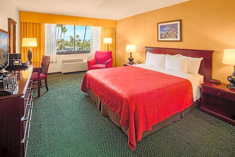 King Room