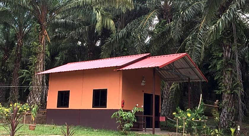 Khao Sok Evergreen House