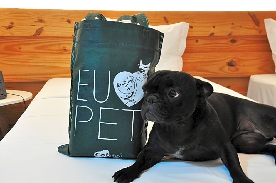 Transamerica Executive Fernandópolis