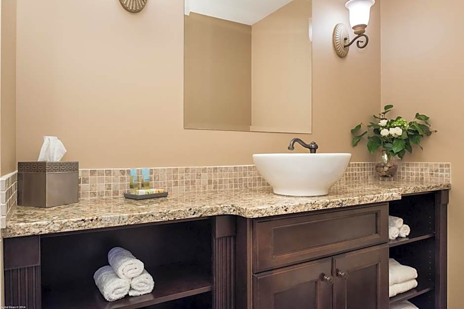 The Castle at Swan Lake