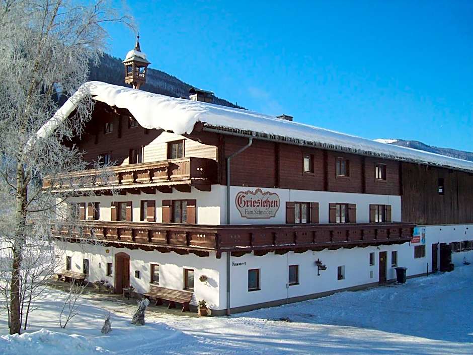 Bauernhof Grieslehen