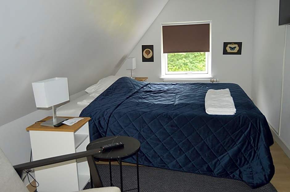 Serengeti & Stayover