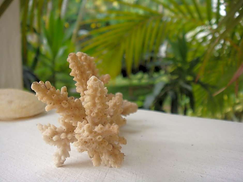 La Perla Holiday Apartments