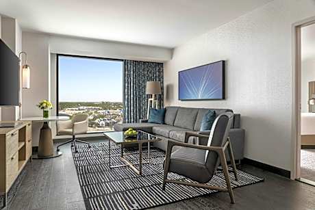 Luxury Suite King Mobility Accessible Tub