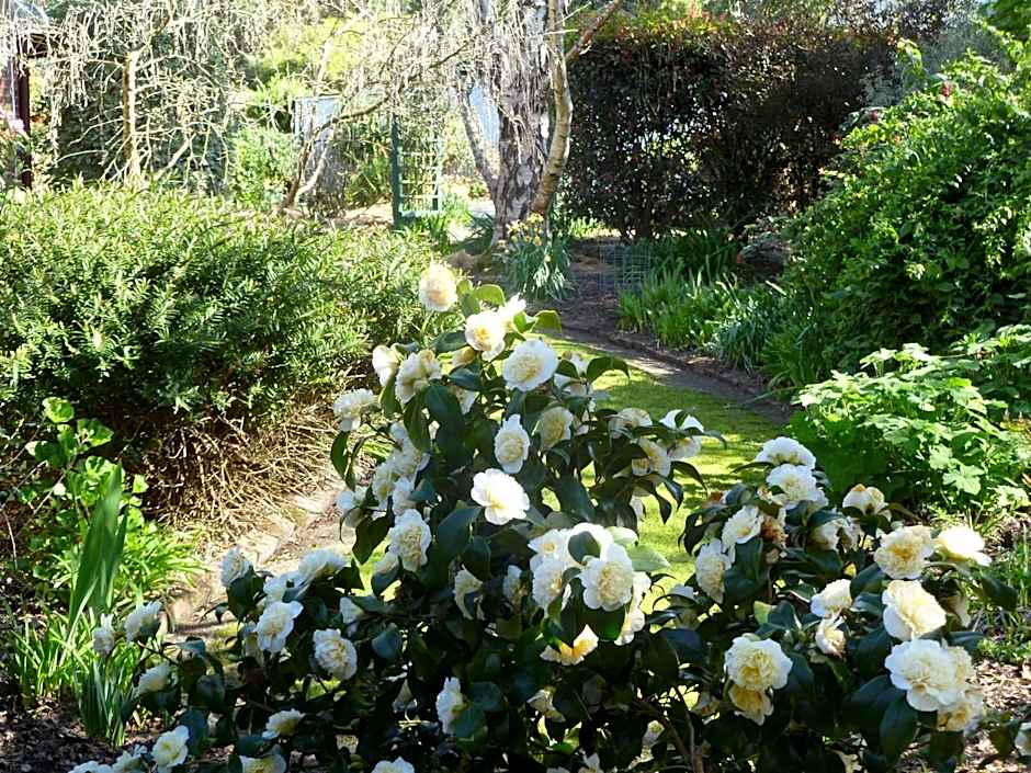 Donalea Bed & Breakfast