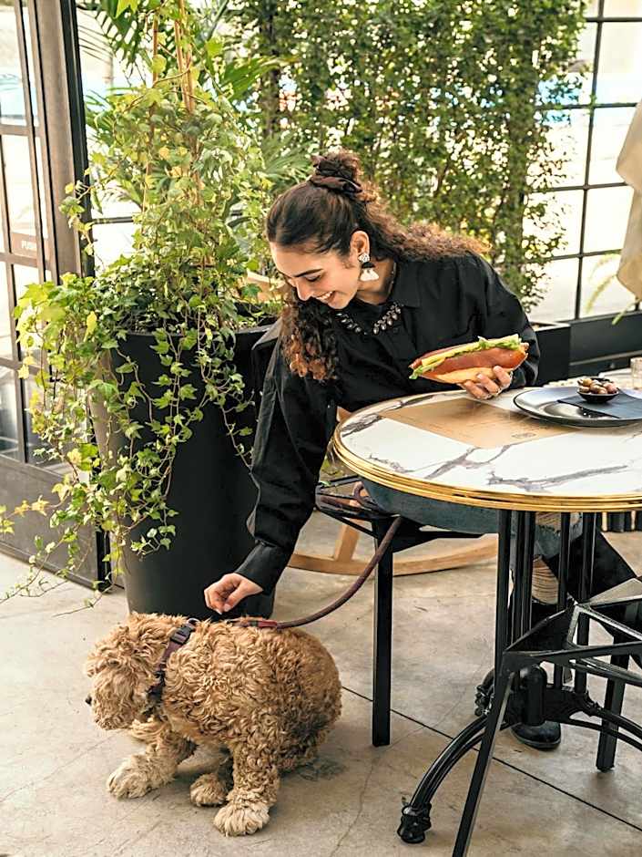 DeBlox living - Ben Avigdor Apartments